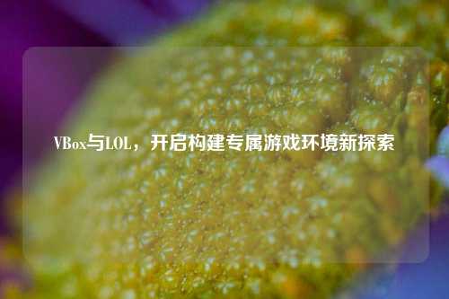 VBox与LOL，开启构建专属游戏环境新探索