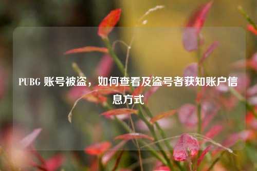 PUBG 账号被盗，如何查看及盗号者获知账户信息方式