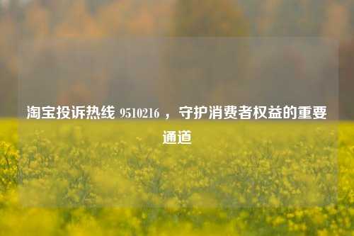 淘宝投诉热线 9510216 ，守护消费者权益的重要通道