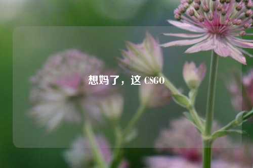 想妈了，这 CSGO