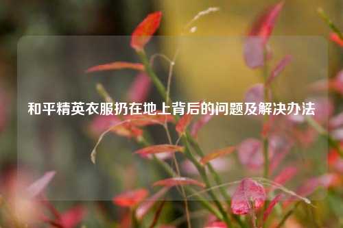 和平精英衣服扔在地上背后的问题及解决办法