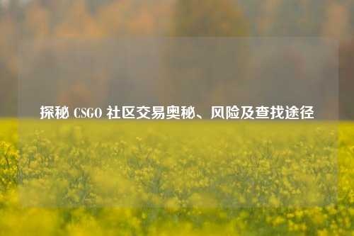 探秘 CSGO 社区交易奥秘、风险及查找途径