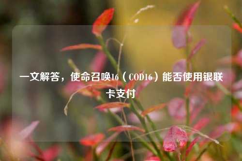 一文解答，使命召唤16（COD16）能否使用银联卡支付