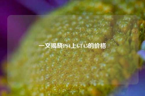 一文揭晓PS4上GTA5的价格