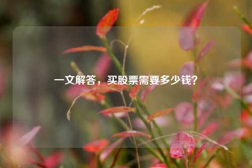 一文解答，买股票需要多少钱？