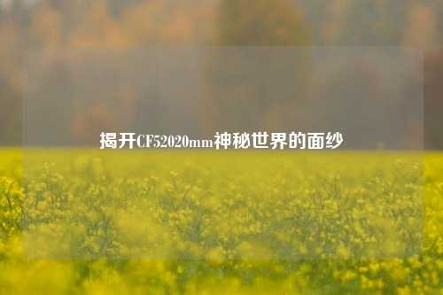 揭开CF52020mm神秘世界的面纱