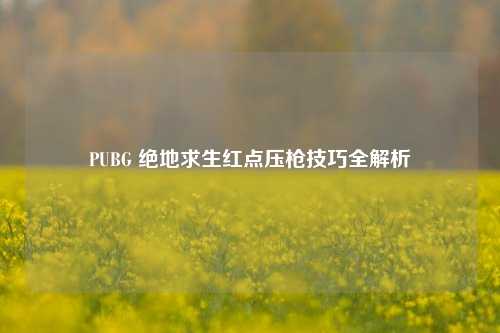 PUBG 绝地求生红点压枪技巧全解析