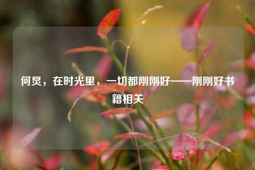 何炅，在时光里，一切都刚刚好——刚刚好书籍相关