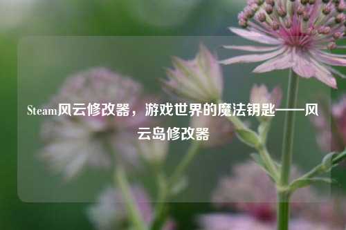 Steam风云修改器，游戏世界的魔法钥匙——风云岛修改器