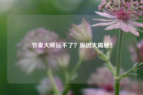 节奏大师玩不了？原因大揭秘！