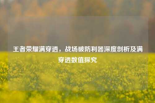 王者荣耀满穿透,战场破防利器深度剖析及满穿透数值探究