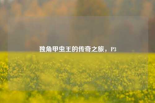 独角甲虫王的传奇之旅，P3