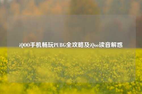 iQOO手机畅玩PUBG全攻略及iQoo读音解惑