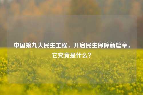 中国第九大民生工程,开启民生保障新篇章,它究竟是什么?