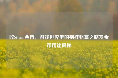收Steam金币，游戏世界里的别样财富之路及金币用途揭秘
