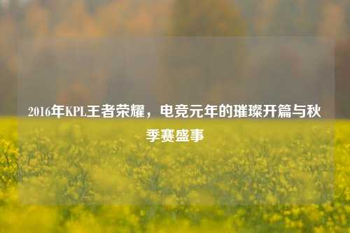 2016年KPL王者荣耀，电竞元年的璀璨开篇与秋季赛盛事