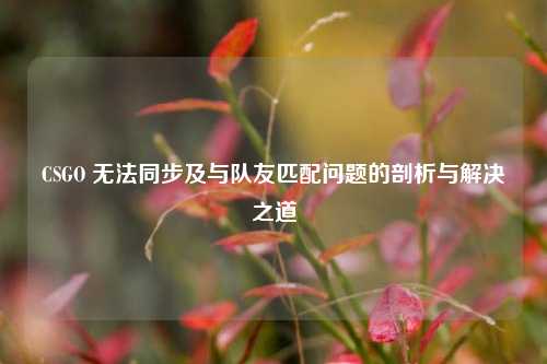 CSGO 无法同步及与队友匹配问题的剖析与解决之道