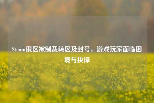 Steam俄区被制裁转区及封号，游戏玩家面临困境与抉择