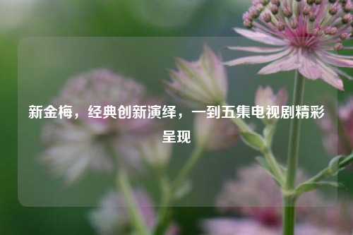 新金梅,经典创新演绎,一到五集电视剧精彩呈现