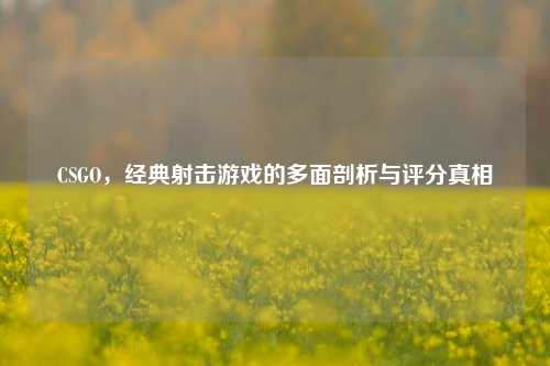 CSGO，经典射击游戏的多面剖析与评分真相