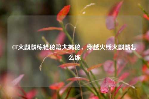 CF火麒麟练枪秘籍大揭秘,穿越火线火麒麟怎么练