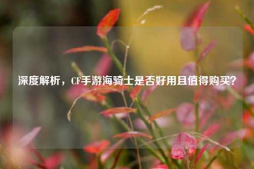 深度解析,CF手游海骑士是否好用且值得购买?