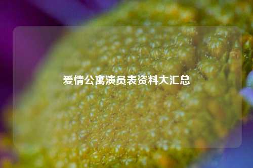 爱情公寓演员表资料大汇总