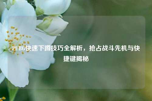 PUBG快速下蹲技巧全解析,抢占战斗先机与快捷键揭秘