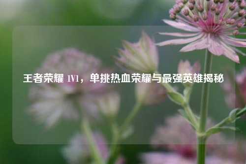 王者荣耀 1V1，单挑热血荣耀与最强英雄揭秘