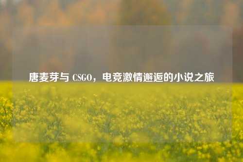 唐麦芽与 CSGO，电竞激情邂逅的小说之旅
