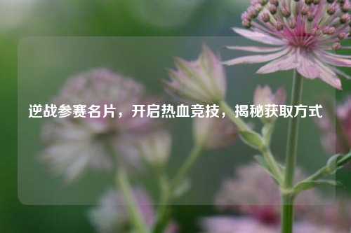 逆战参赛名片，开启热血竞技，揭秘获取方式