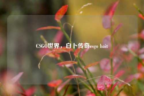 CSGO世界，白卜传奇csgo bait