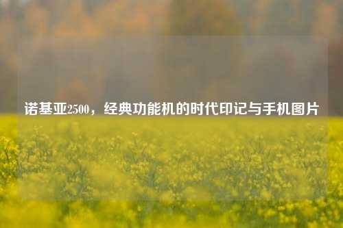 诺基亚2500,经典功能机的时代印记与手机图片