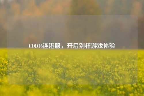 COD16连港服，开启别样游戏体验