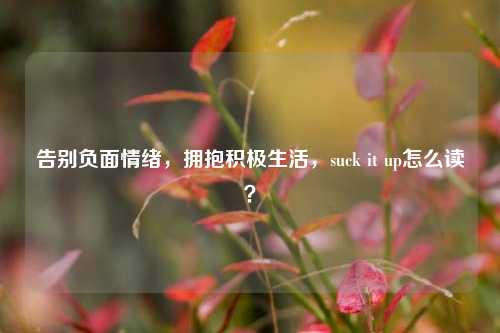 告别负面情绪,拥抱积极生活,suck it up怎么读?
