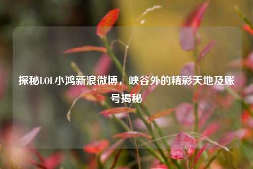 探秘LOL小鸿新浪微博,峡谷外的精彩天地及账号揭秘