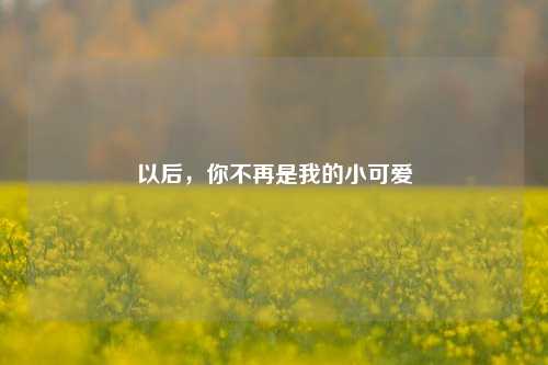 以后，你不再是我的小可爱