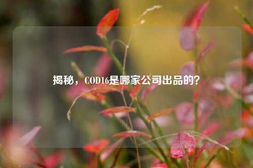 揭秘,COD16是哪家公司出品的?