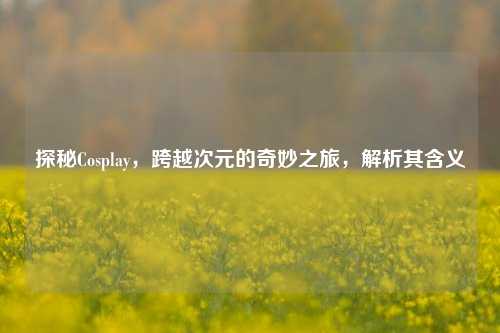探秘Cosplay,跨越次元的奇妙之旅,解析其含义