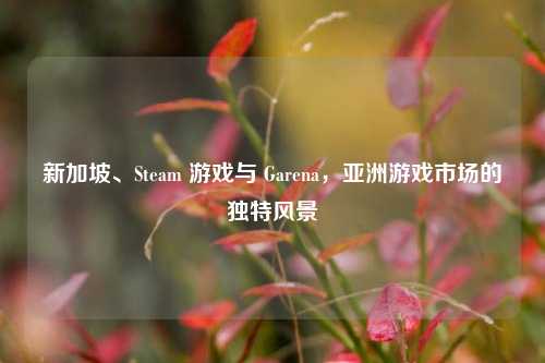 新加坡、Steam 游戏与 Garena，亚洲游戏市场的独特风景