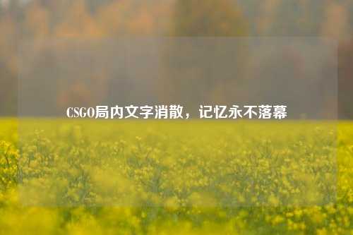 CSGO局内文字消散，记忆永不落幕