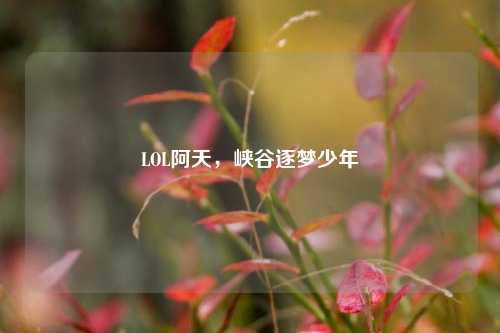 LOL阿天,峡谷逐梦少年