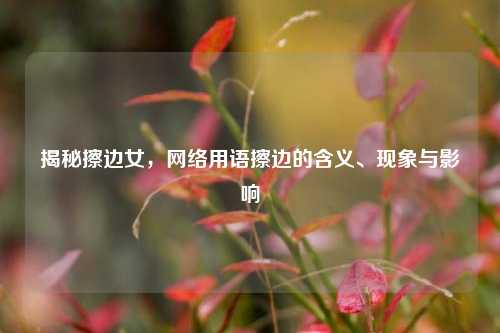 揭秘擦边女,网络用语擦边的含义、现象与影响