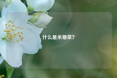 什么是杀猪菜？