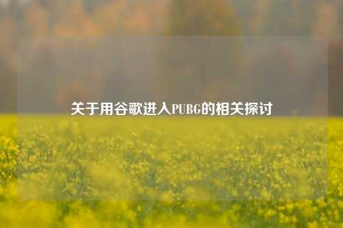 关于用谷歌进入PUBG的相关探讨