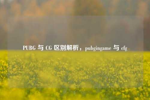 PUBG 与 CG 区别解析，pubgingame 与 cfg