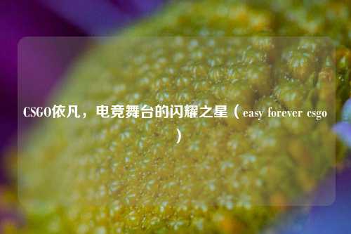 CSGO依凡，电竞舞台的闪耀之星（easy forever csgo）