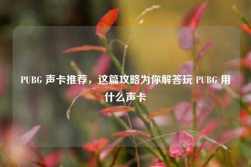 PUBG 声卡推荐，这篇攻略为你解答玩 PUBG 用什么声卡