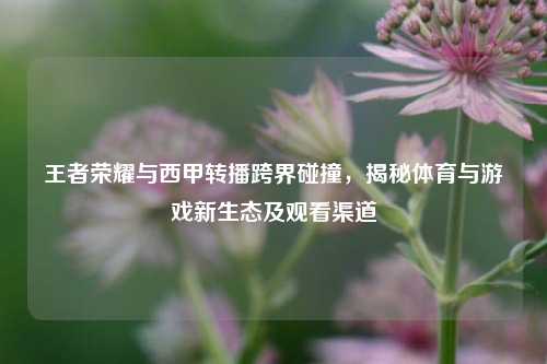 王者荣耀与西甲转播跨界碰撞，揭秘体育与游戏新生态及观看渠道