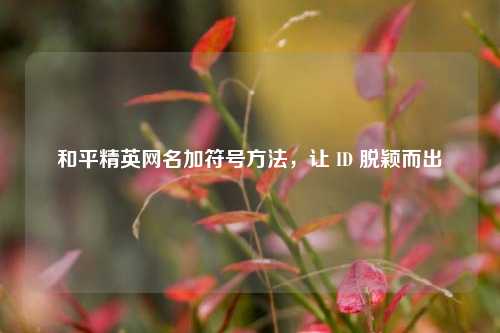 和平精英网名加符号方法,让 ID 脱颖而出